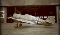 Avion Curtiss transformÃ© en avion allemand