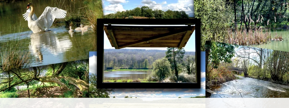 Exposition | les espaces naturels du Cher